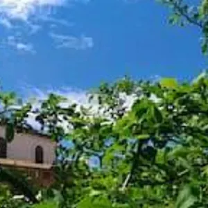 Il Gelsomino Casa vacanze